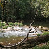 IMG 7225