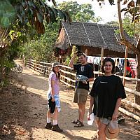 IMG 7339