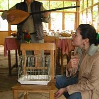 Turkey November 2003