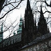 church of st nicholas and a tree