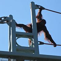 Washington DC May 2011 trip54