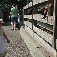 IMG 4782
