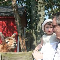 IMG 4847