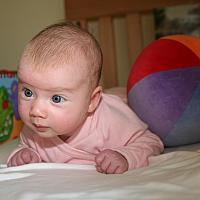 IMG 0059