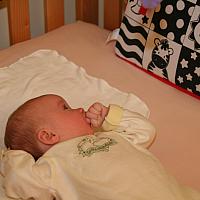 IMG 9966