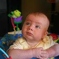 IMG 0695