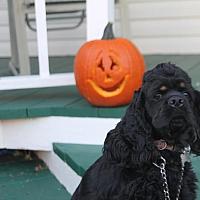 102310 Our first carved pumpkin and Atos