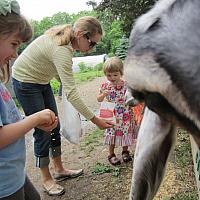 06122011 Farm with Maya Sonya11