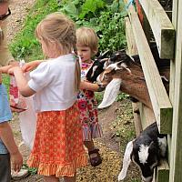 06122011 Farm with Maya Sonya7