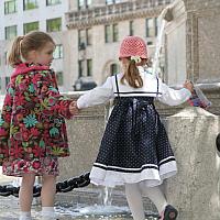 IMG 2981